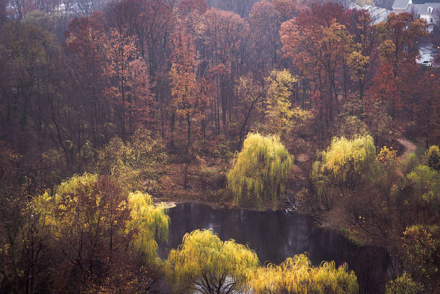 One foggy morning! - Free image #404825